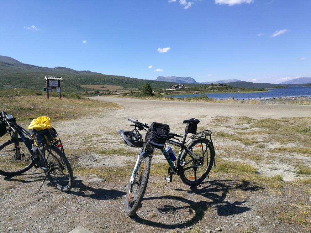 Feriehus ørterstølen *