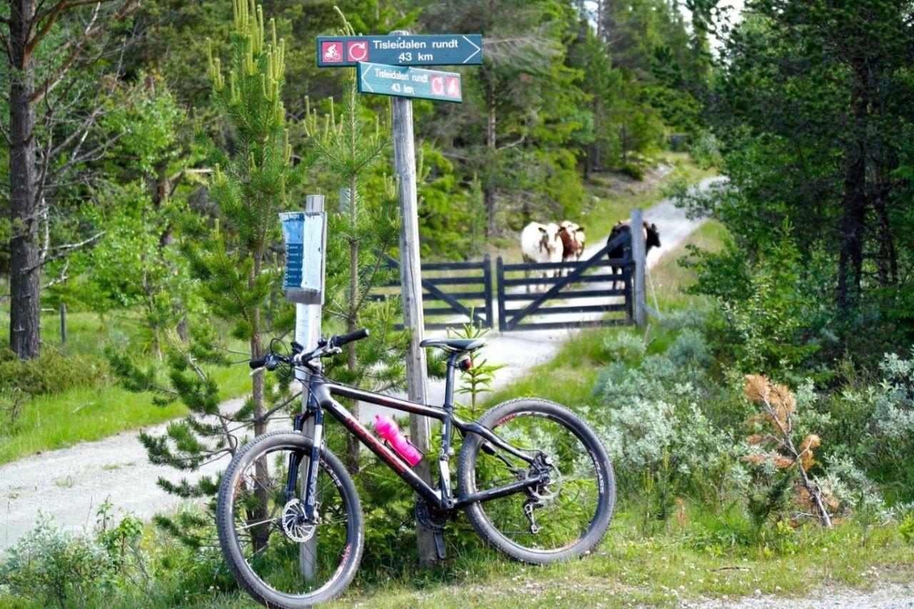 ørterstølen Feriehus
