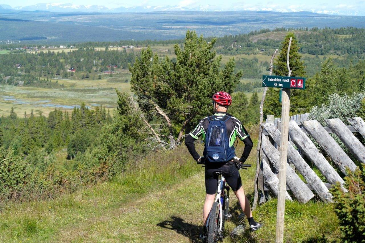ørterstølen *